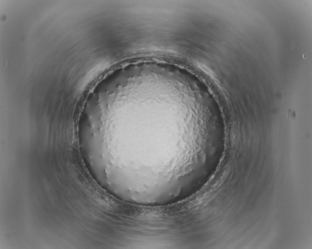X0000088021267200705251043