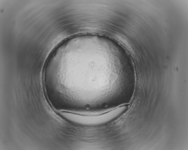 X0000088021283200705251042
