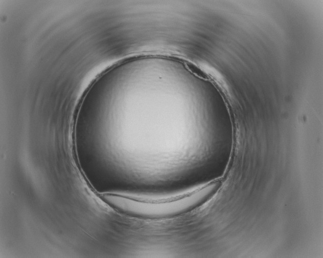 X0000088021288200705251042