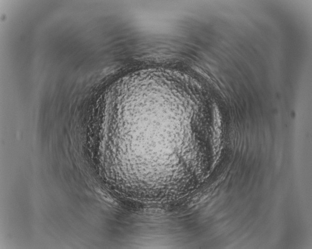 X0000088021297200705251041