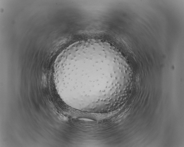 X0000088021300200705251041