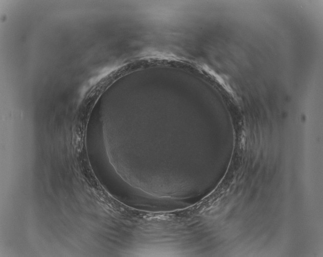 X0000088021303200705251041