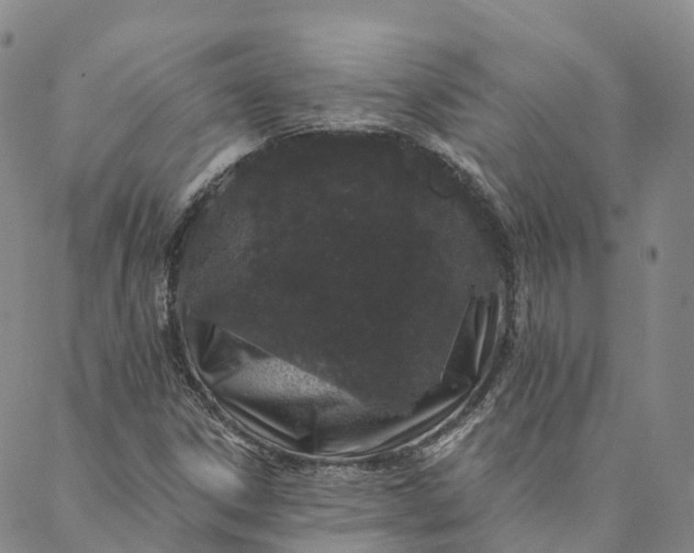 X0000088021306200705251042