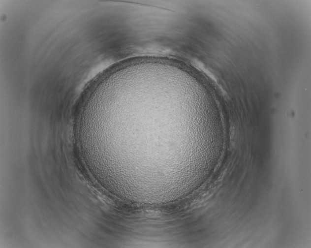 X0000088021315200705251042