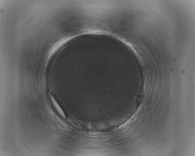 X0000088021319200705251042