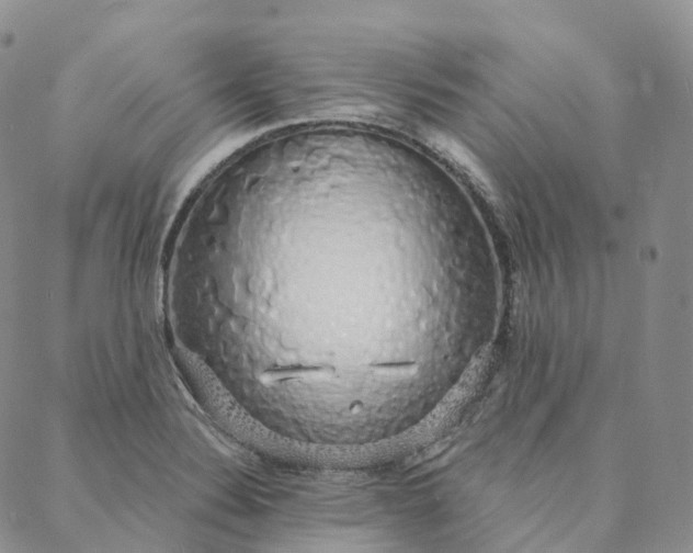 X0000088021324200705251042