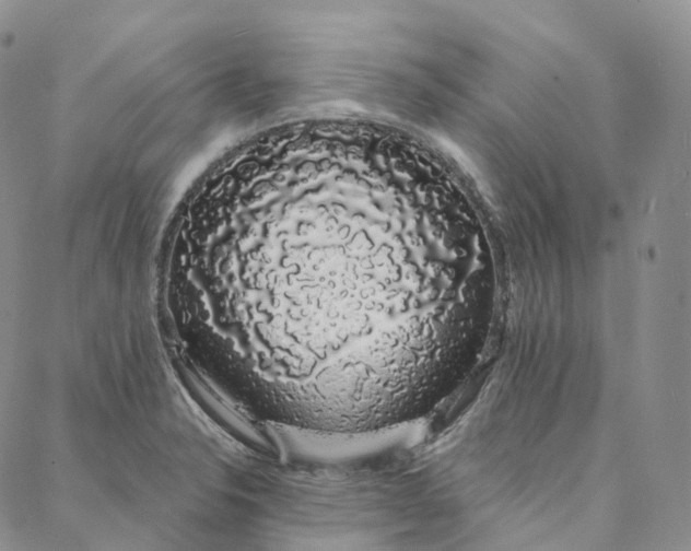 X0000088021326200705251042