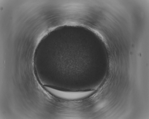 X0000088021327200705251042
