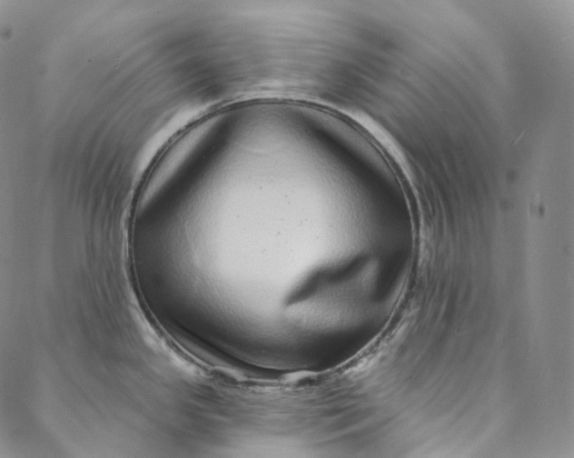 X0000088021341200705251042