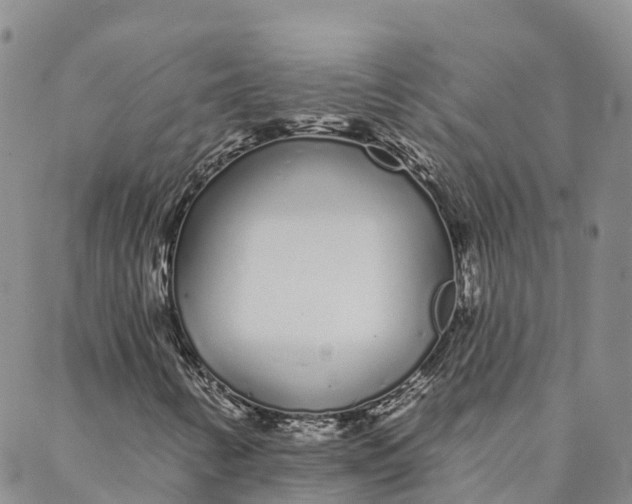 X0000088021346200705251041