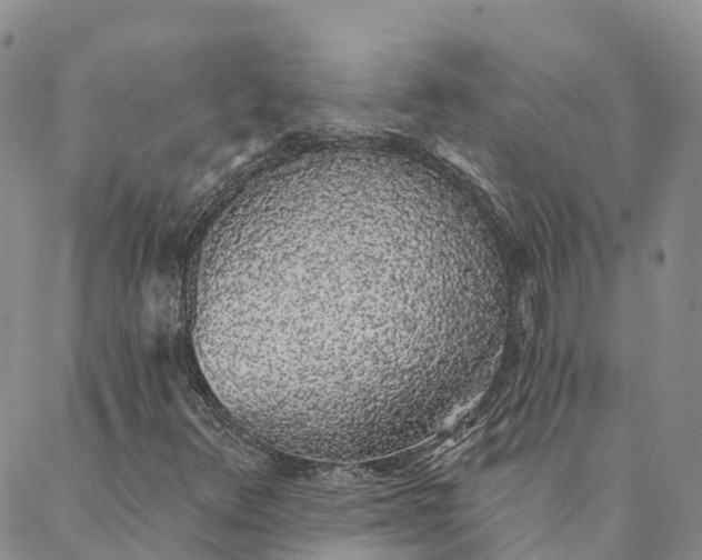 X0000088021348200705251041