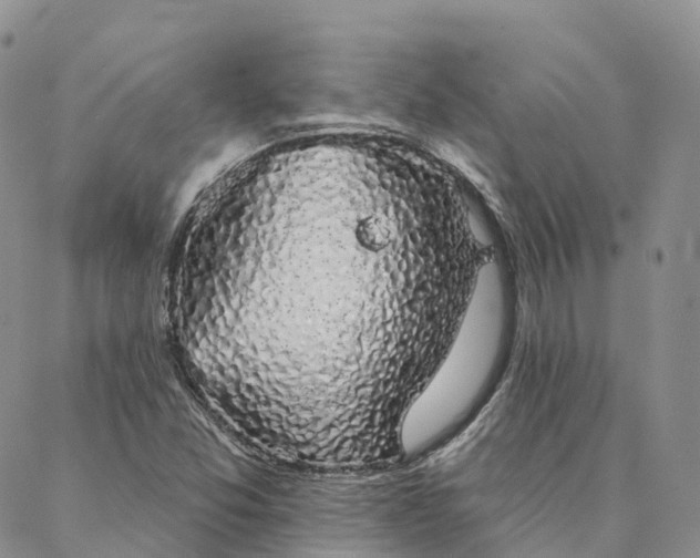 X0000088021357200705251041