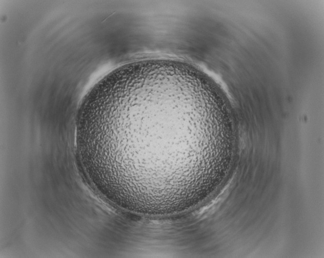 X0000088021365200705251041