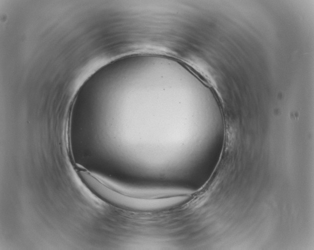 X0000088021391200705251041