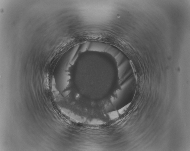 X0000088021394200705251040