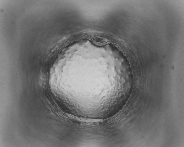 X0000088021397200705251040