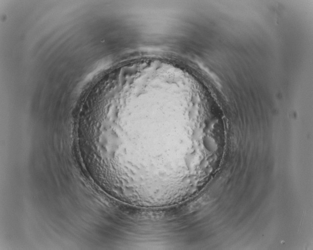 X0000088021411200705251040