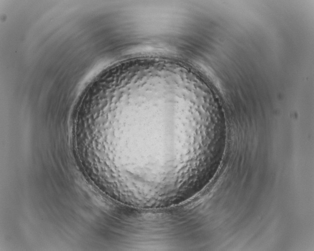 X0000088021419200705251040