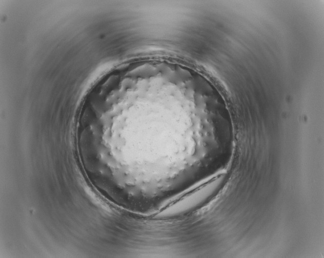 X0000088021421200705251040