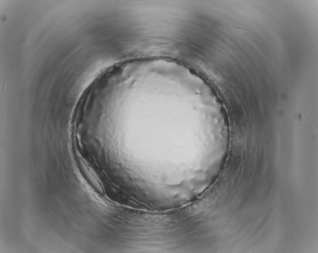 X0000088021423200705251040
