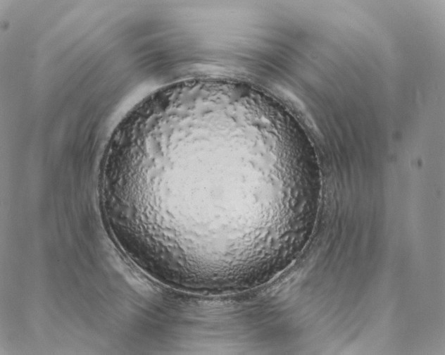 X0000088021427200705251040