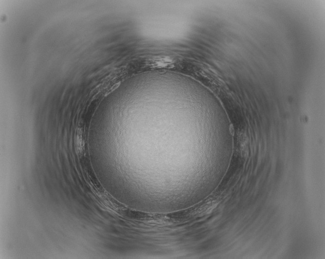 X0000088021442200705251040