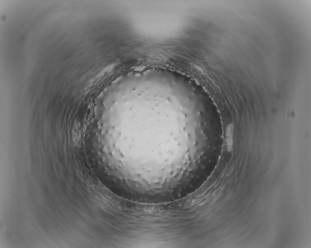 X0000088021443200705251040