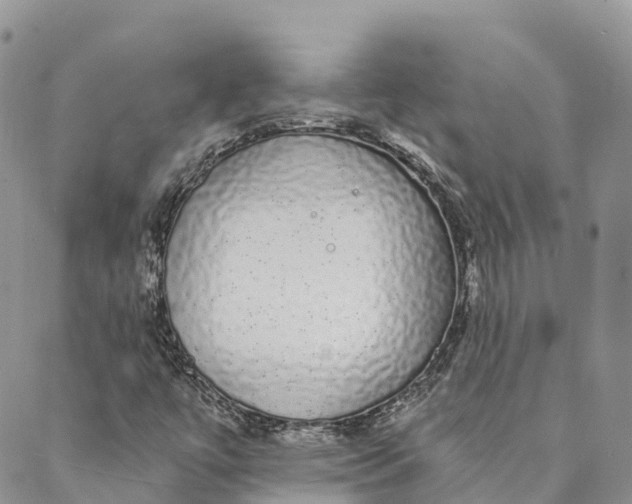 X0000088021447200705251040