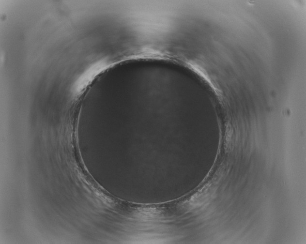 X0000088021455200705251040