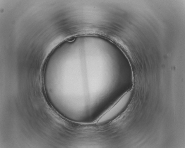X0000088021467200705251039