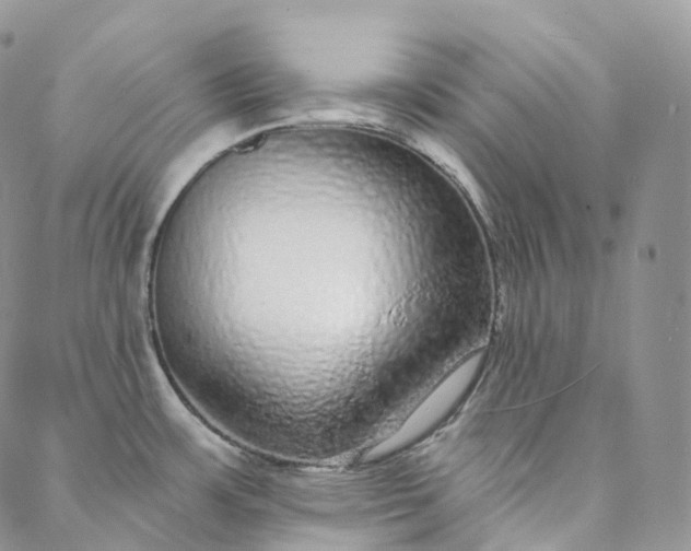 X0000088021483200705251039