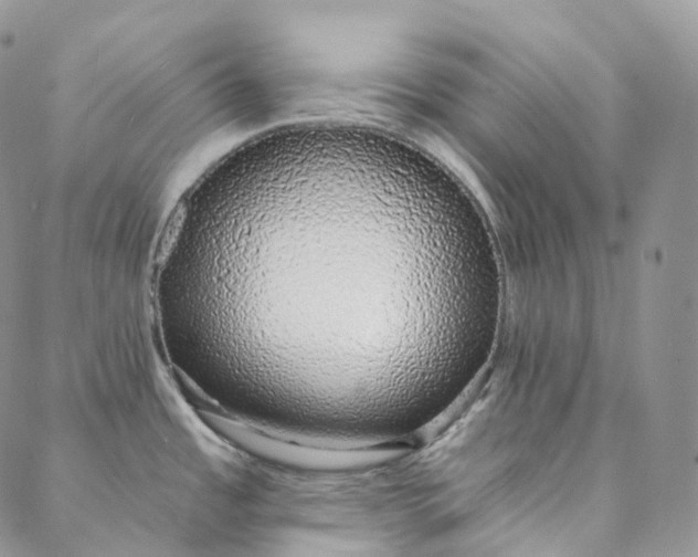 X0000088021485200705251039