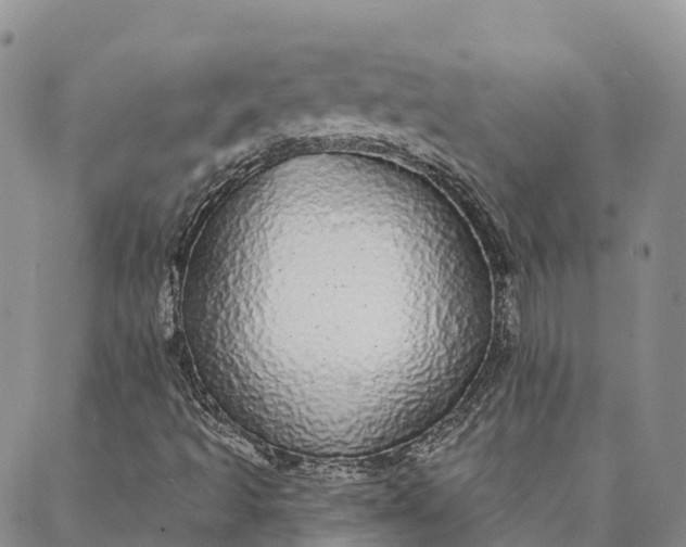 X0000088021493200705251038