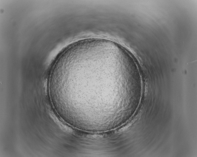 X0000088021503200705251038