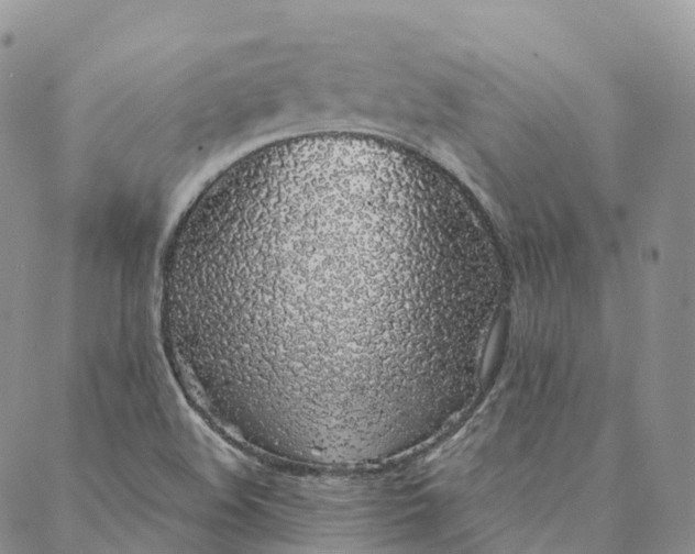 X0000088021508200705251039