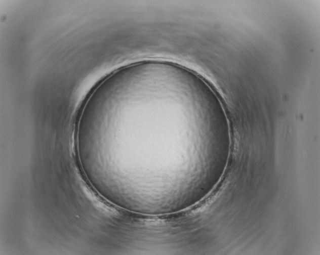 X0000088021511200705251039