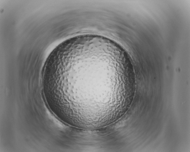 X0000088021527200705251039