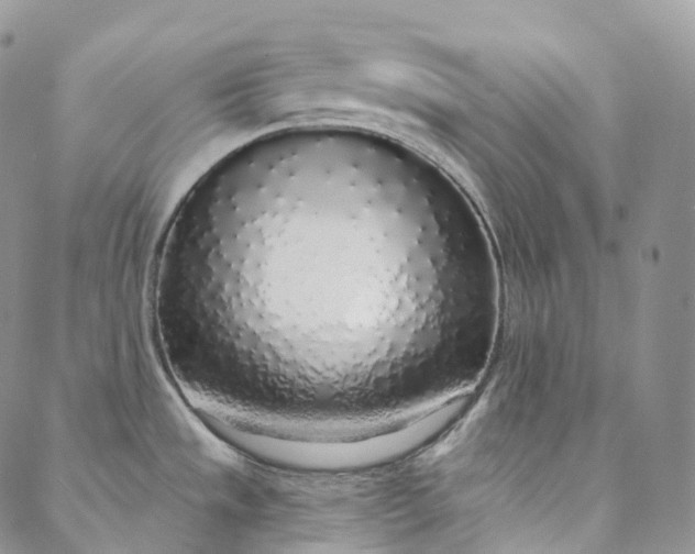 X0000088021533200705251039