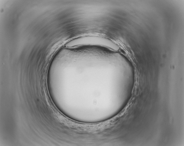 X0000088020001200706011336