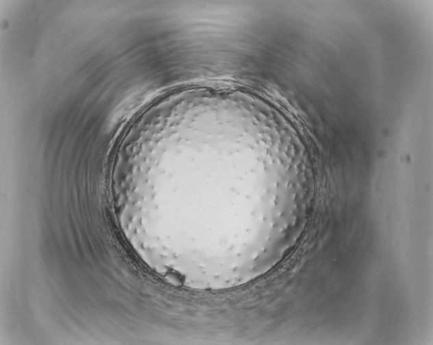 X0000088020002200706011336