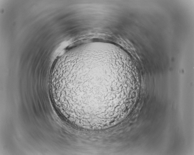 X0000088020003200706011336