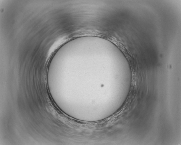 X0000088020004200706011336