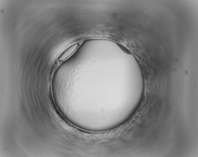 X0000088020005200706011336