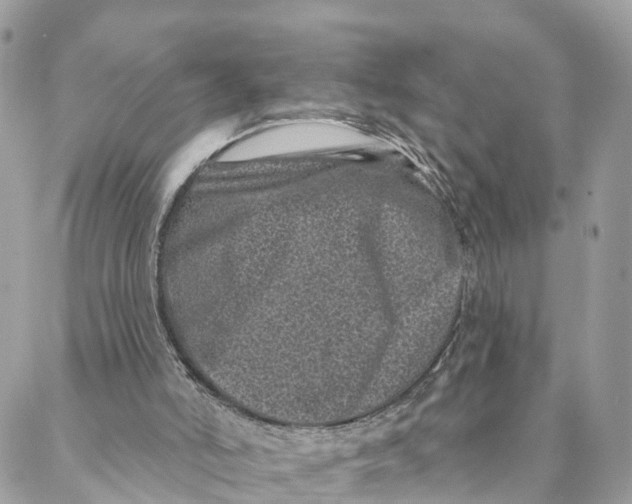 X0000088020006200706011336