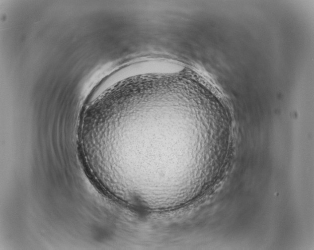 X0000088020007200706011336