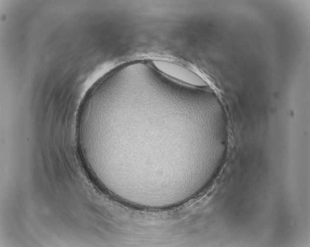 X0000088020008200706011336