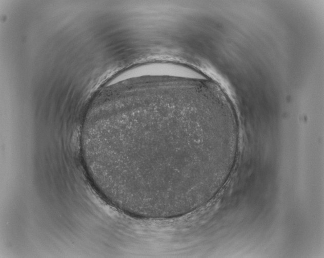 X0000088020009200706011336