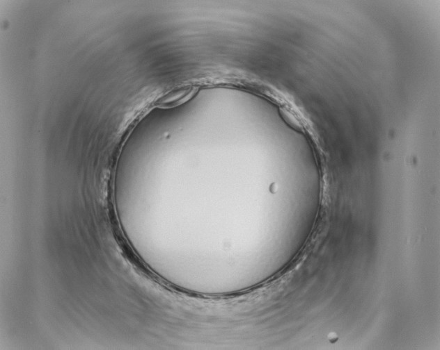 X0000088020010200706011336