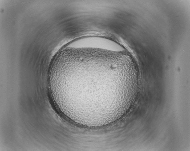 X0000088020011200706011336