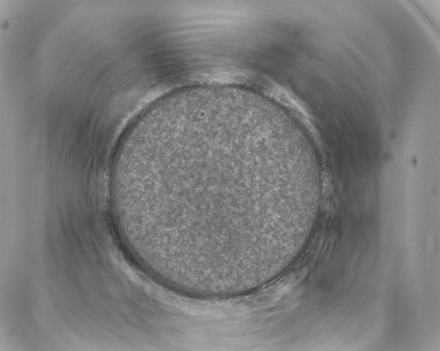 X0000088020012200706011336